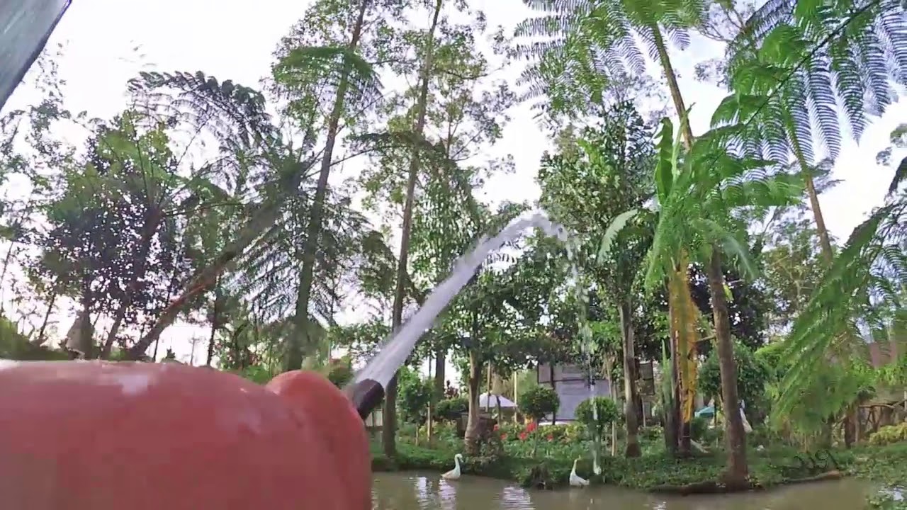 Amazing Farm.Binahon AgroForestry Farm-BAFF, Lantapan, Bukidnon