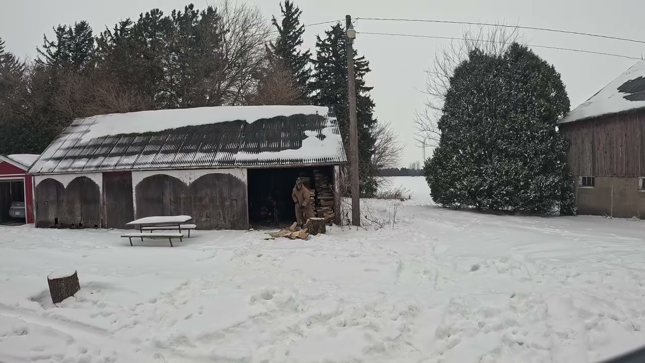 Daily firewood: day 7.