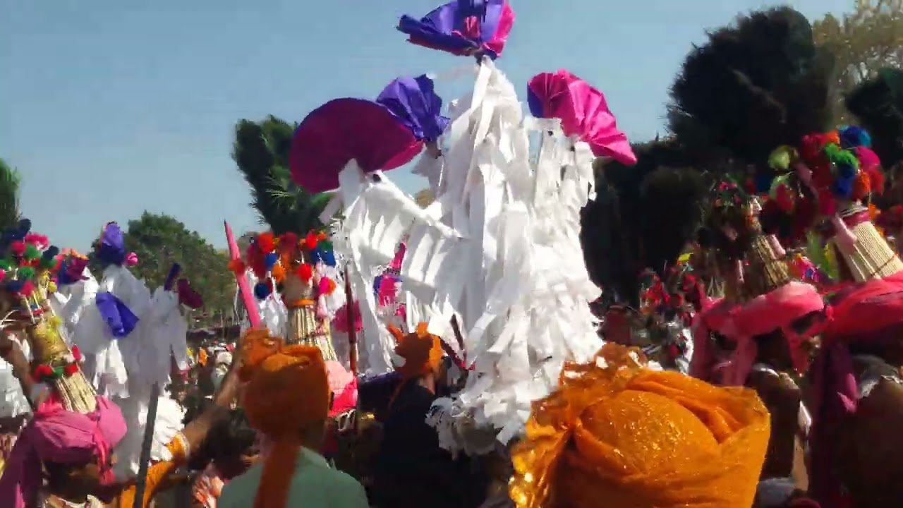 Adivasi Holi At Gaurya