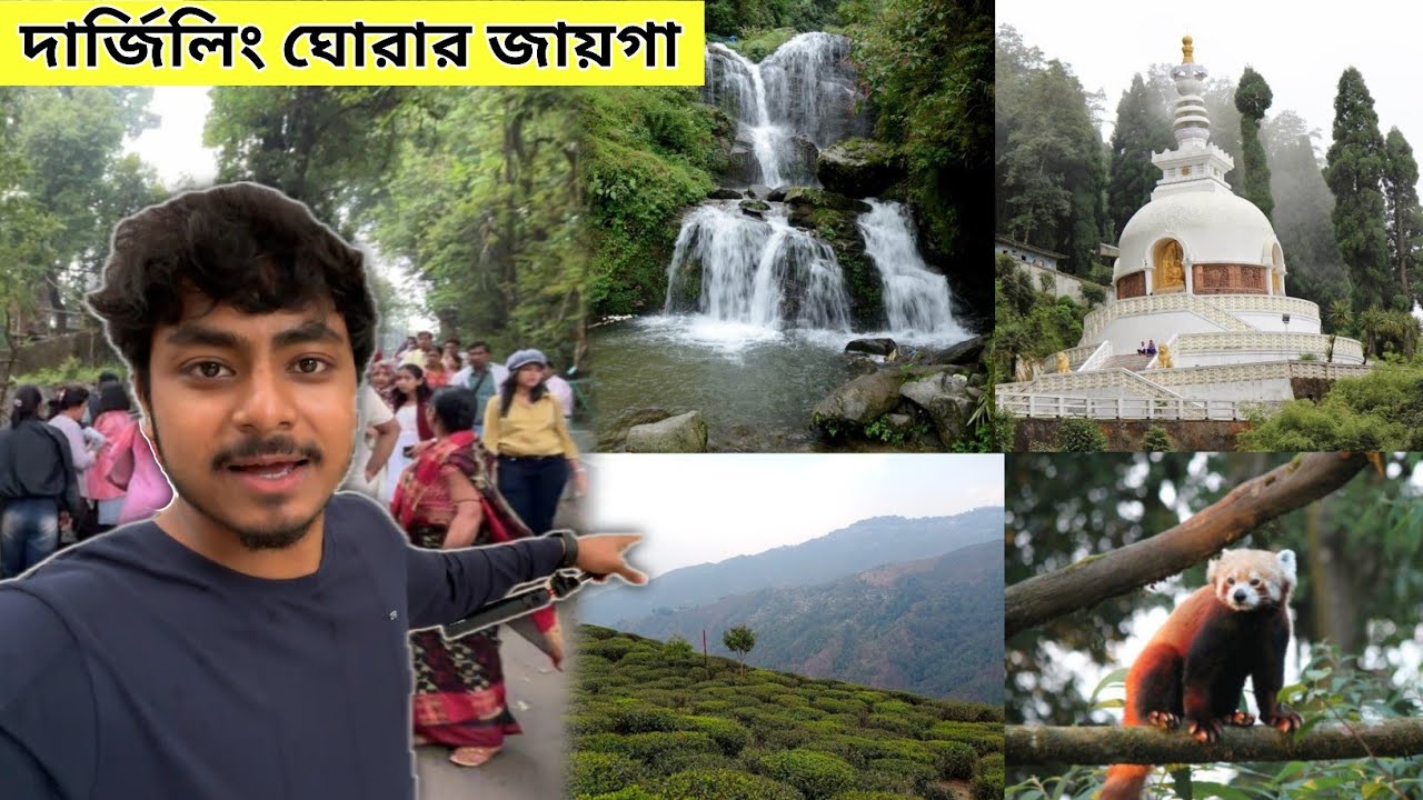 Darjeeling Tourist Places | Rock Garden | Tiger Hill | Japanese Temple | Darjeeling Zoo | দার্জিলিং