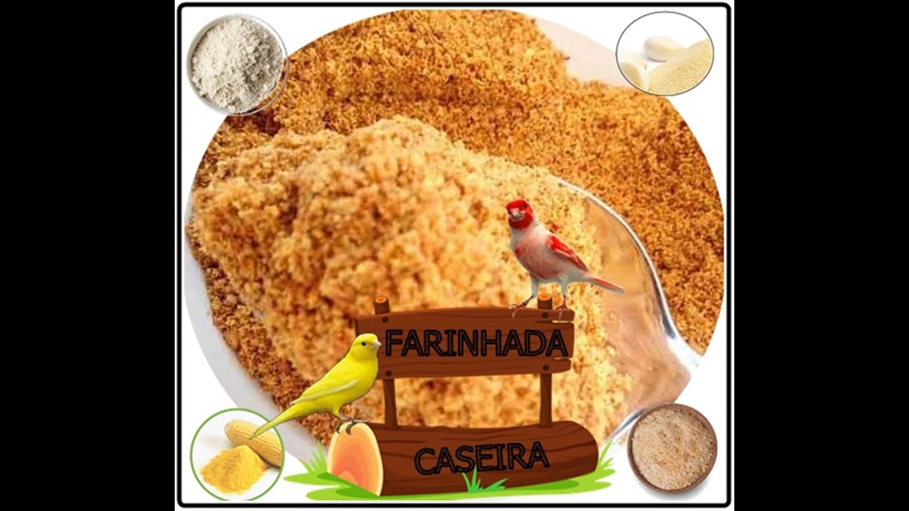 FARINHADA CASEIRA ! FACÍL, BARATA, EFICIENTE
