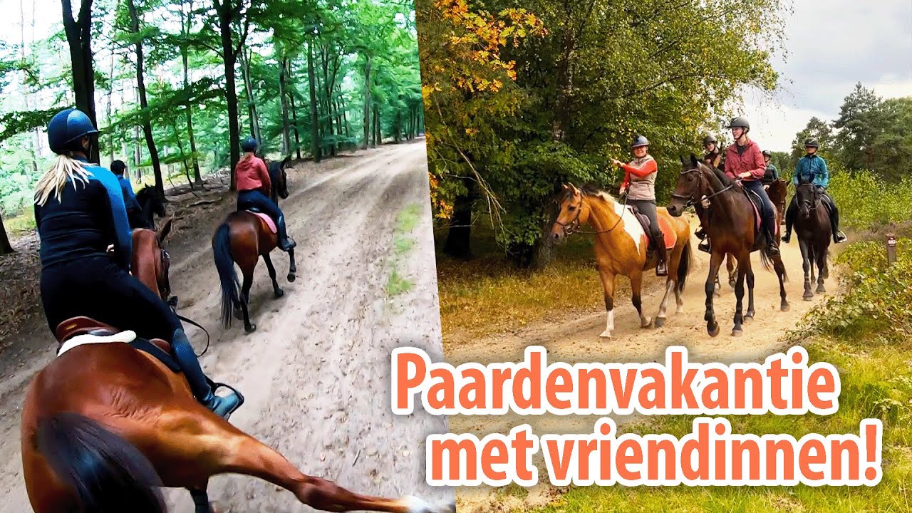 YT weekje begint! En het is meteen CHAOS met BOKKENDE PAARDEN!