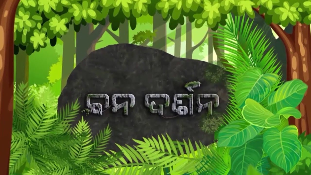 Banadarshana || Nilambu Chilika