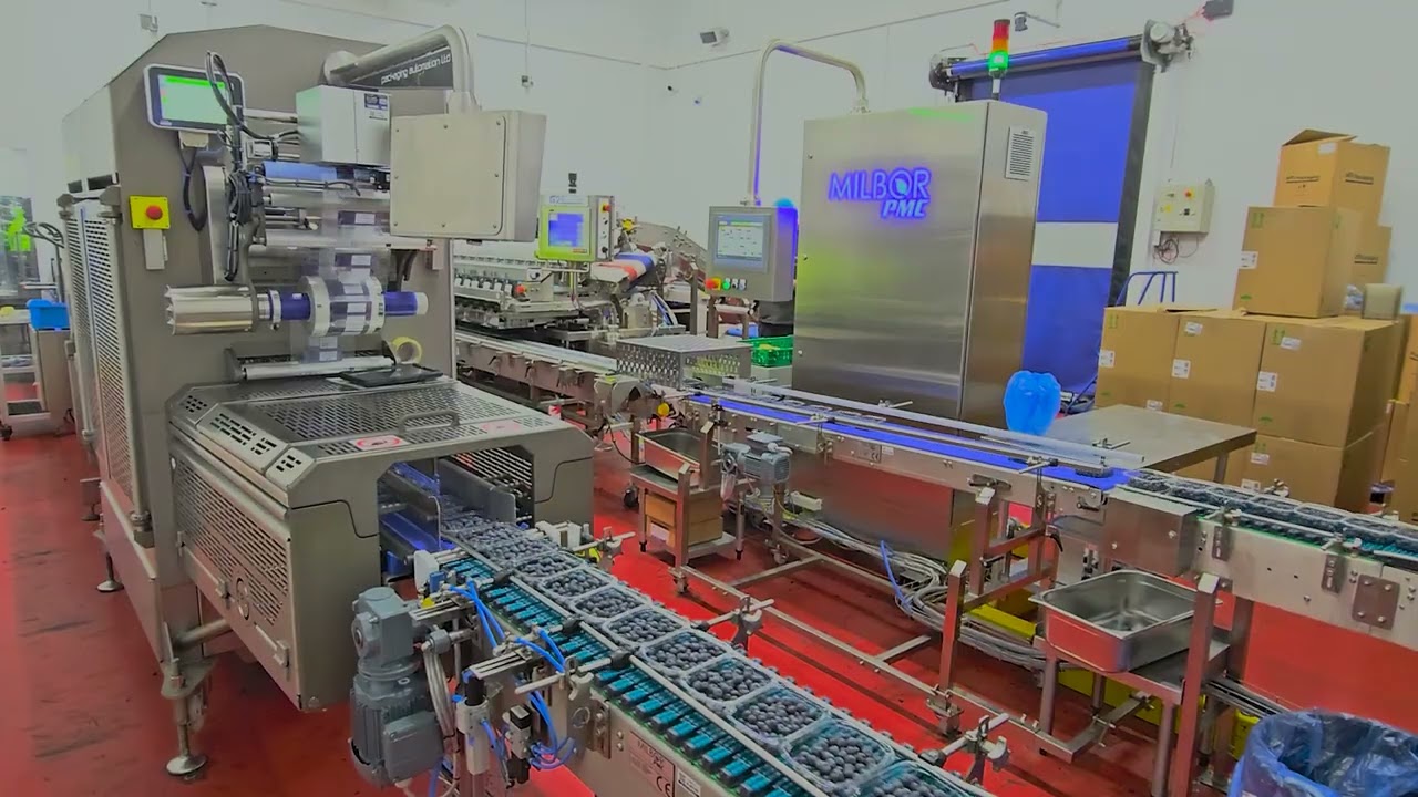 Packaging Automation - REV5 high speed traysealer - blueberries