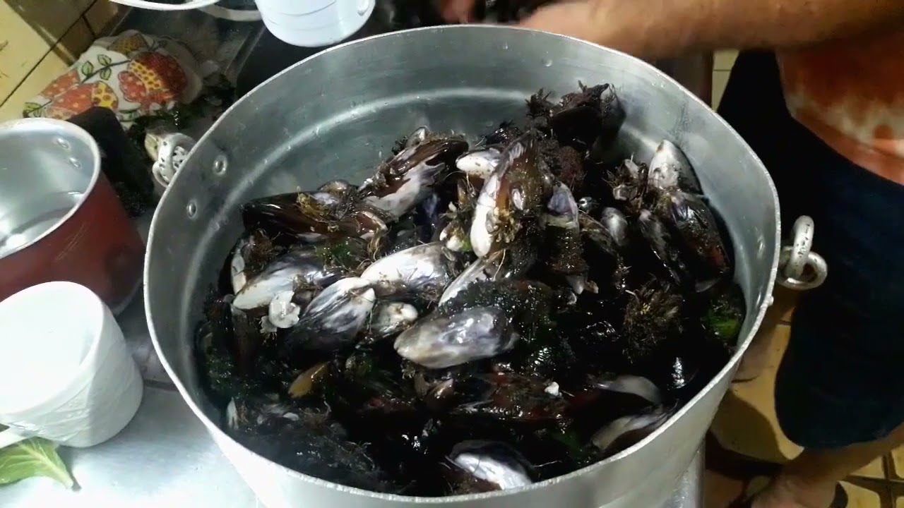 Como Cozinhar Marisco! Mais Fácil do que Você Imagina