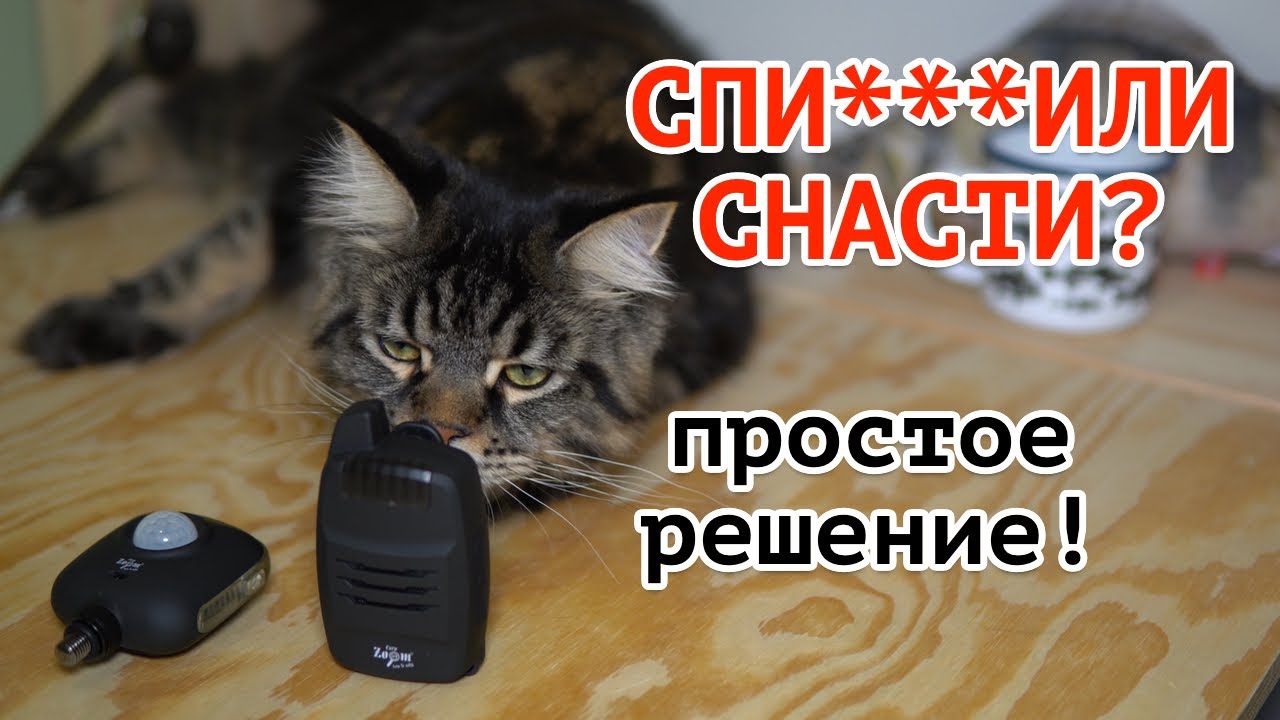 Не оставляй СПИННИНГ пока не посмотришь это видео! Сигнализация Carp Zoom FK7.