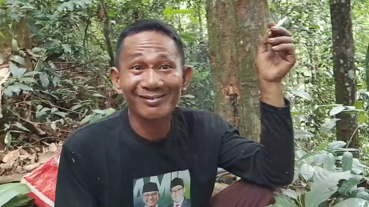 Cara tumbang kayu tinggi