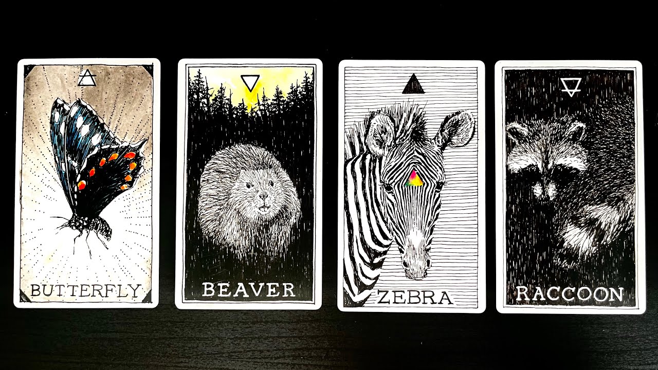 WHAT IS YOUR REPUTATION ⁉️🦋🩵💙❄️PICK A CARD 🧢🐟♿️👔