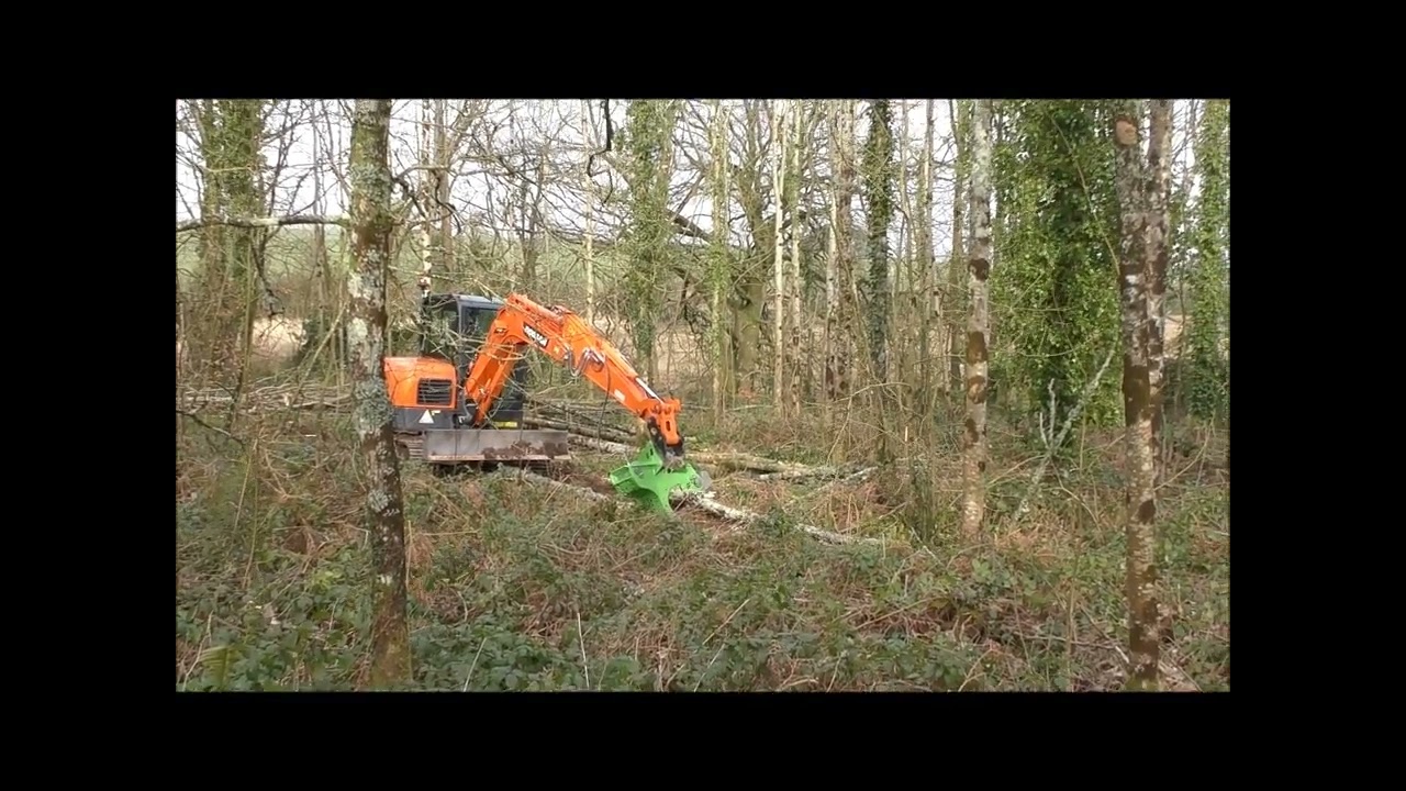 Tree felling with the Doosan63 & Mother Cutter tree shear