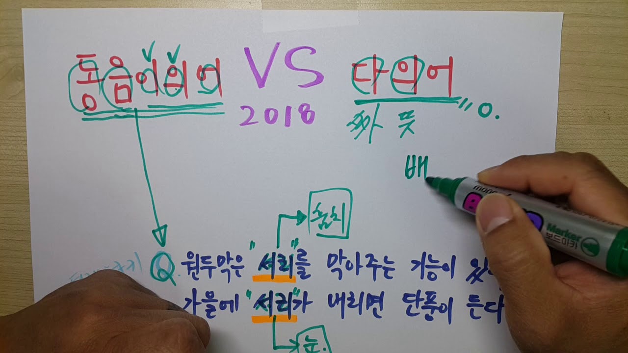 동음이의어 vs 다의어
