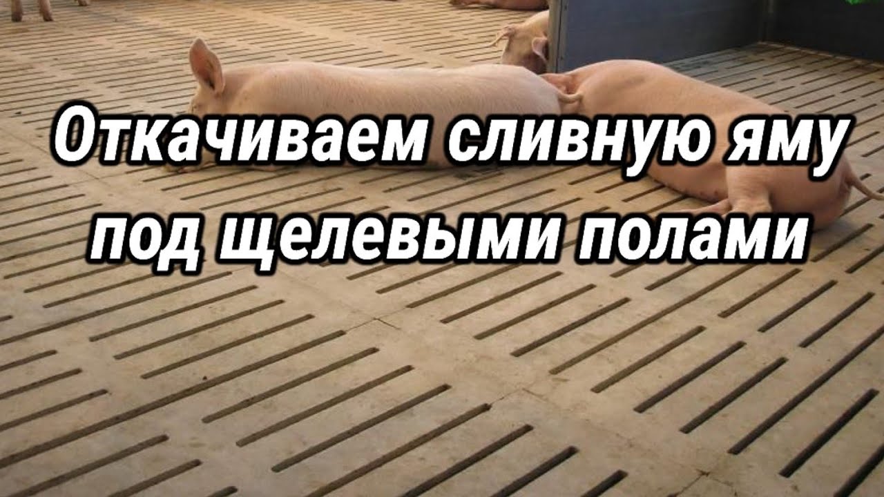 Откачиваем сливную яму под щелевыми полами