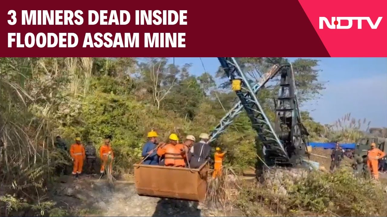 Assam News | 3 Miners Dead Inside Flooded Assam Mine, Army Divers, Choppers Deployed