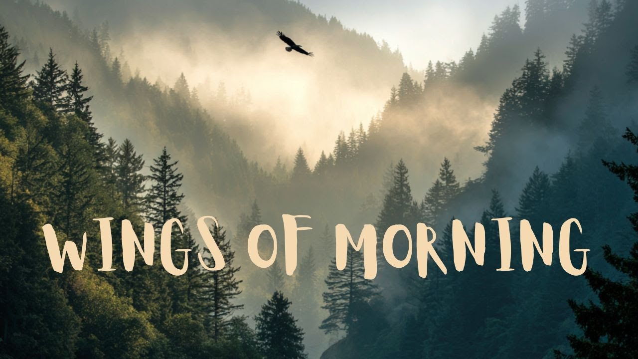 WINGS OF MORNING ... Terry Oldfield