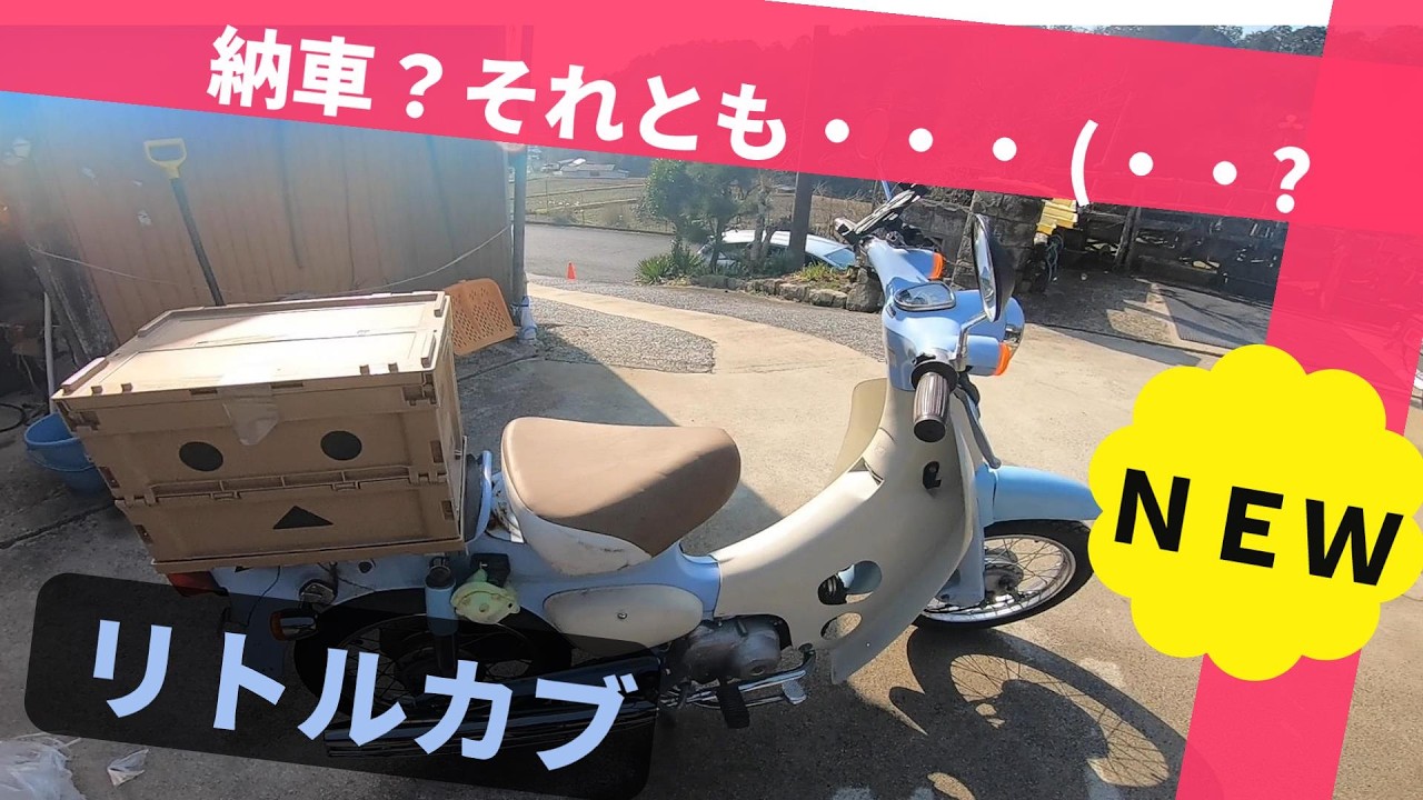 【納車？！】水色のリトルカブ