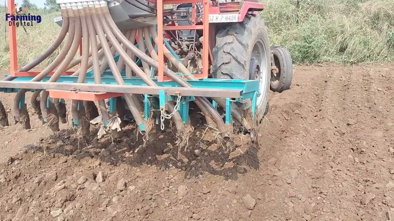  देखिए सरसों की बुवाई कैसे होती है @FARMINGDIGITALAgriculture video Gujarat @agriculture #Farming
