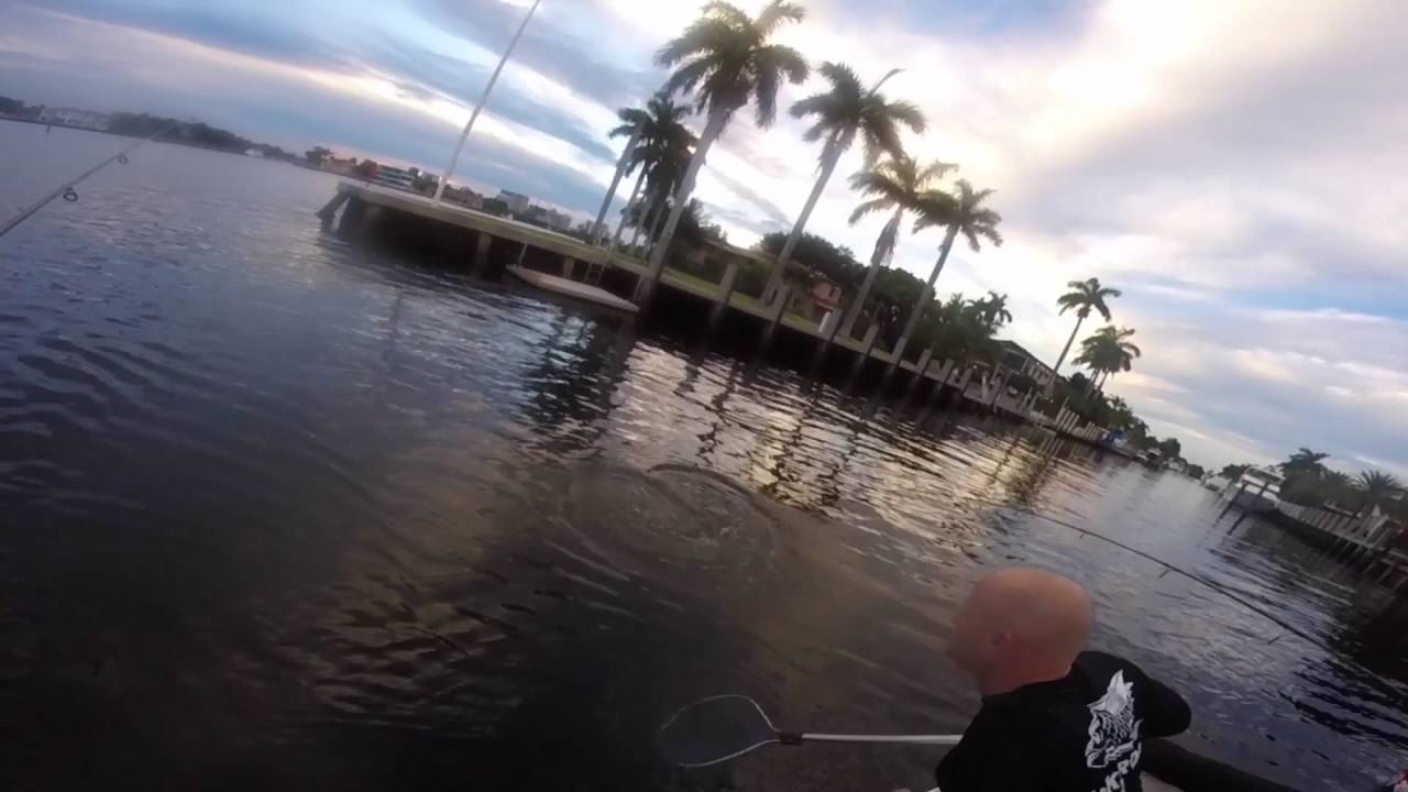 42 inch monster snook