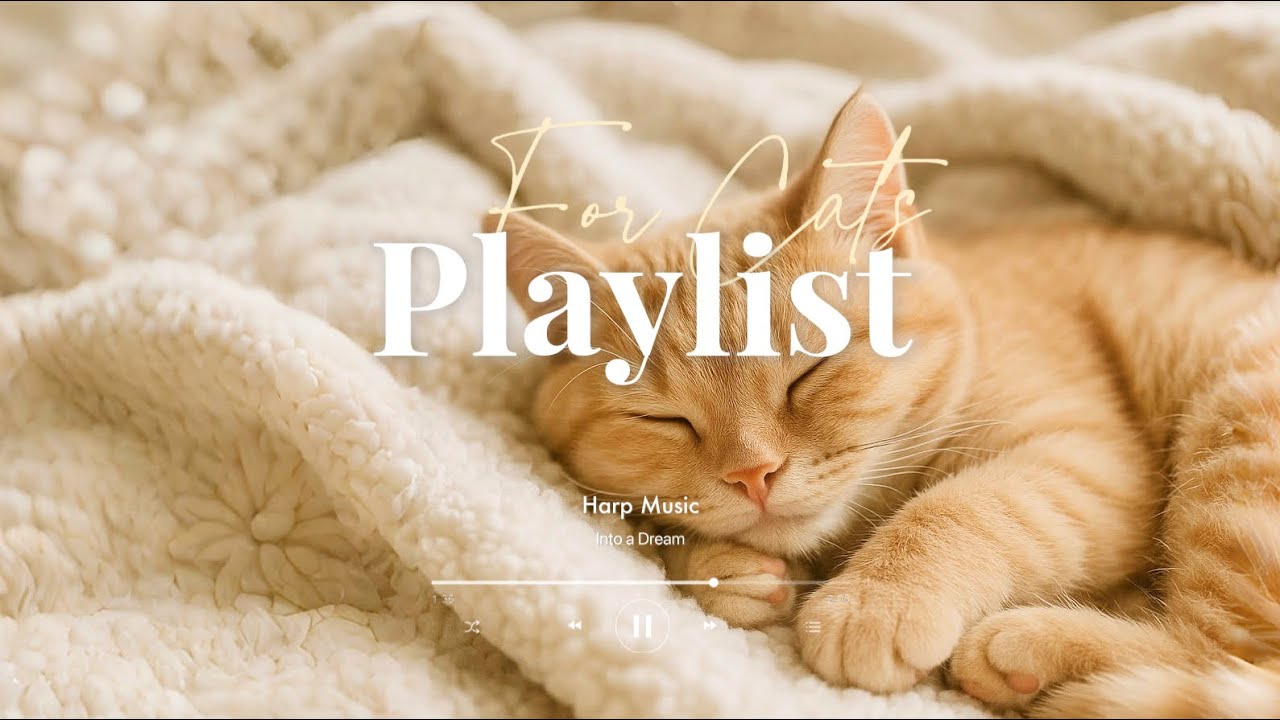 고양이가 좋아하는 하프 음악 | 고양이 불안, 스트레스 해소, 휴식, 수면 | Music for Cats | Harp Music | Relaxation, Sleep