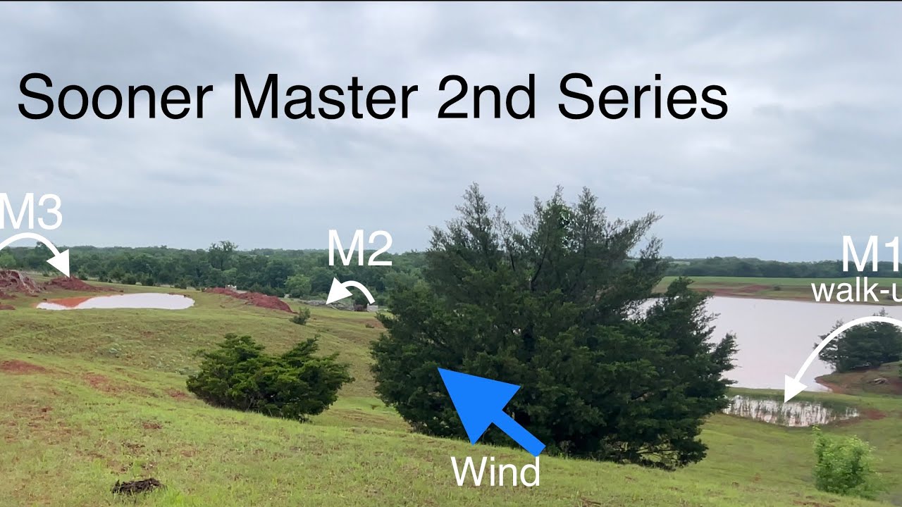 AKC Master Hunt Test (all 3 series) 