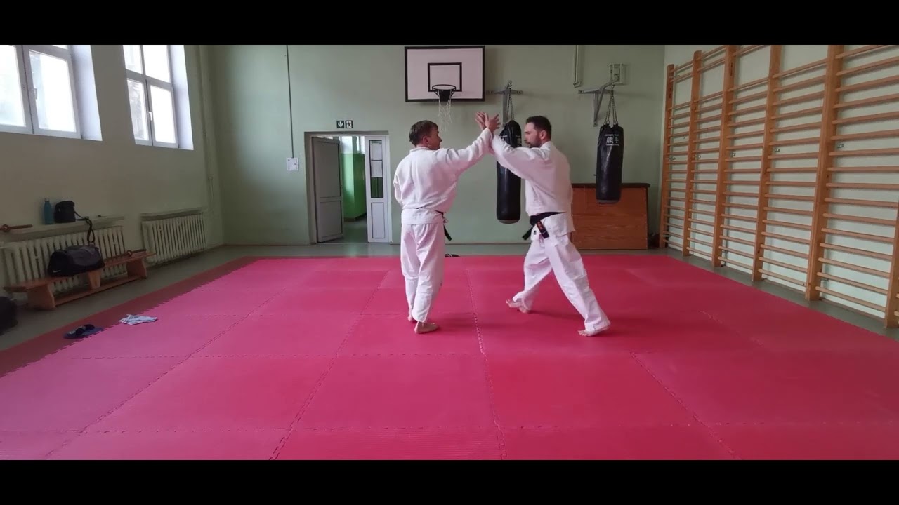 gyaku hanmi katate dori jiu waza