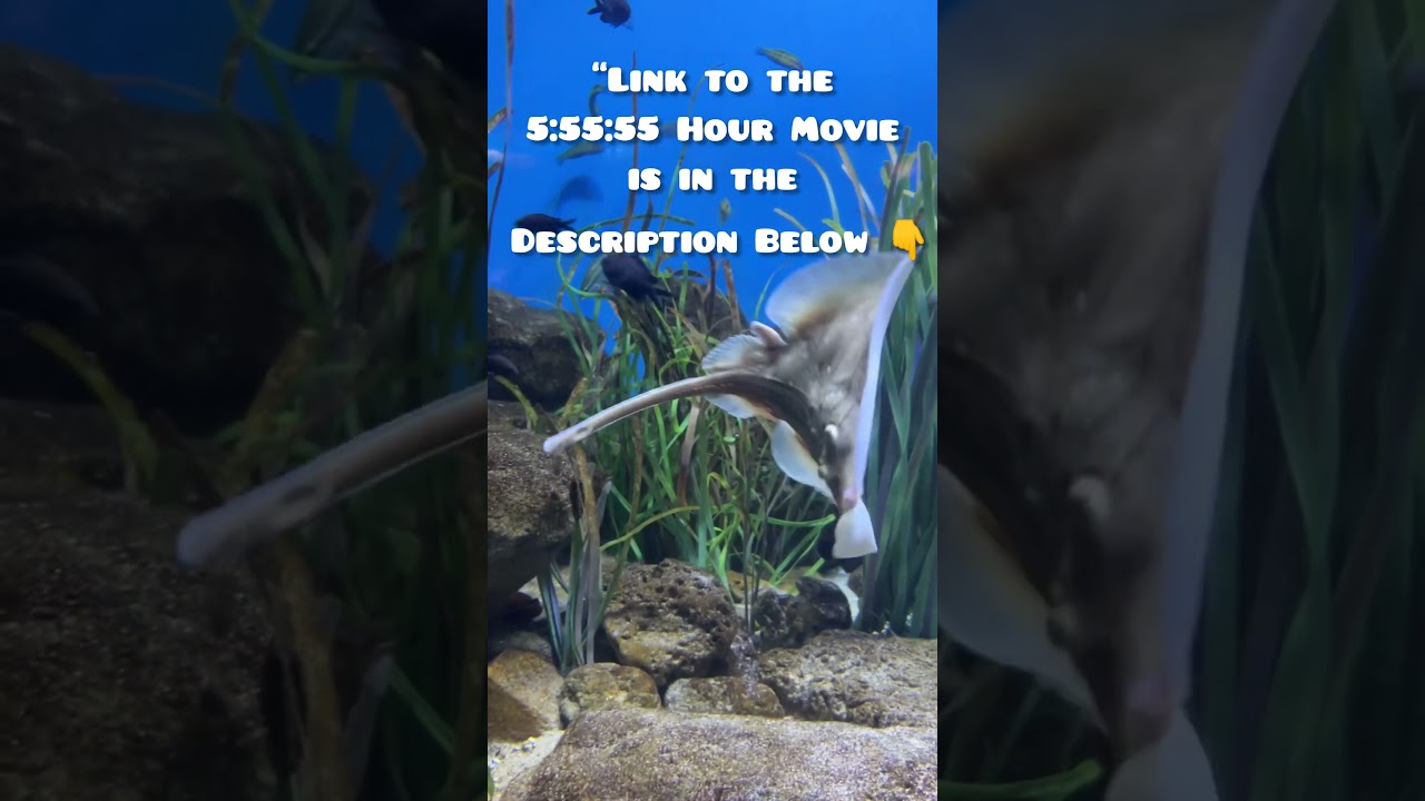Take a deep breath: #relaxation #nature #4k #shorts #oceanrelaxation