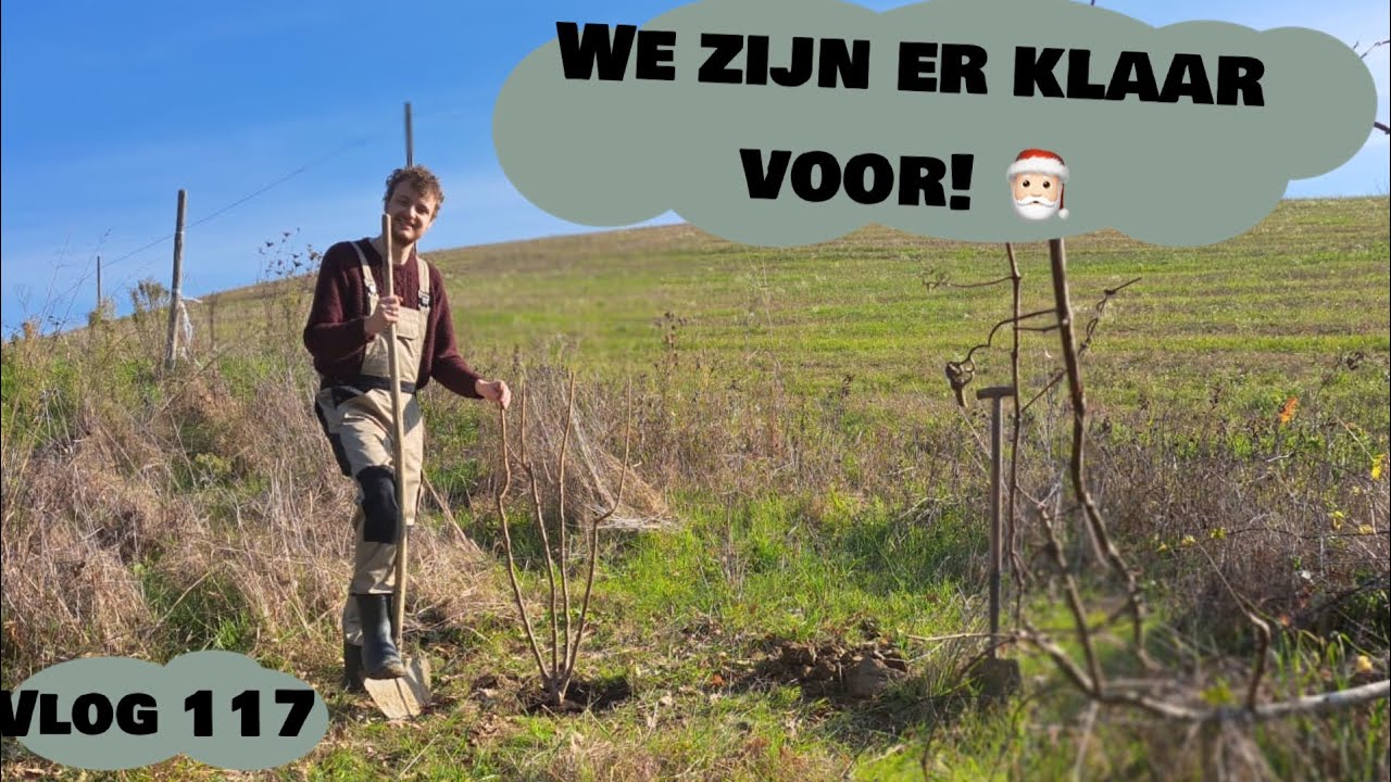 hazenootboom aanplanten vlog 117