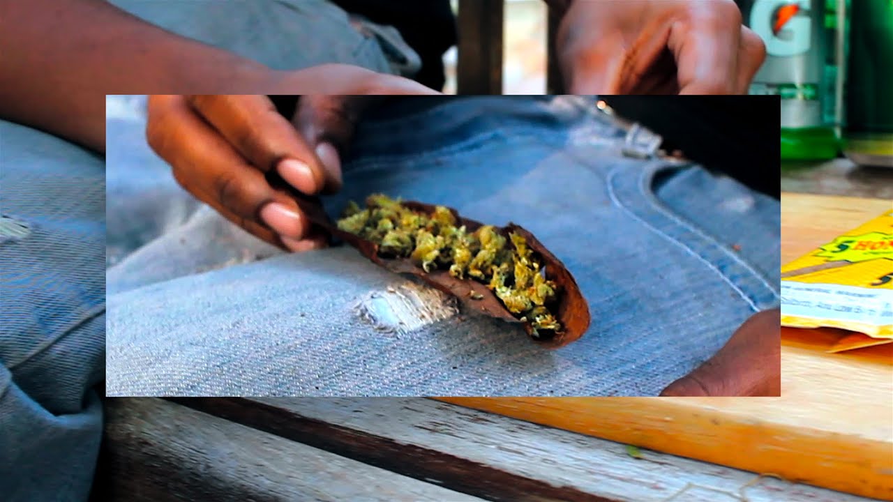 How to Roll a Backwood [w/ The Barhemian]