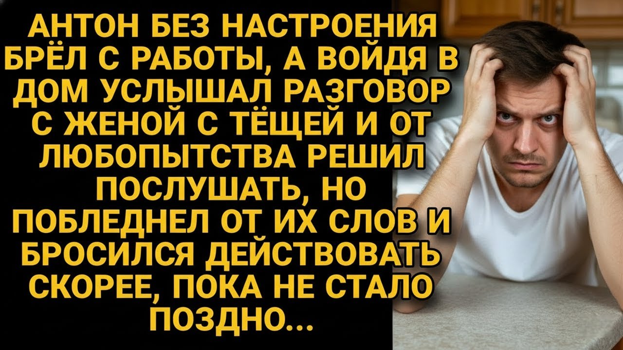 Не хотя брёл домой, а войдя услышал беседу жены с тёщей, а прислушавшись...