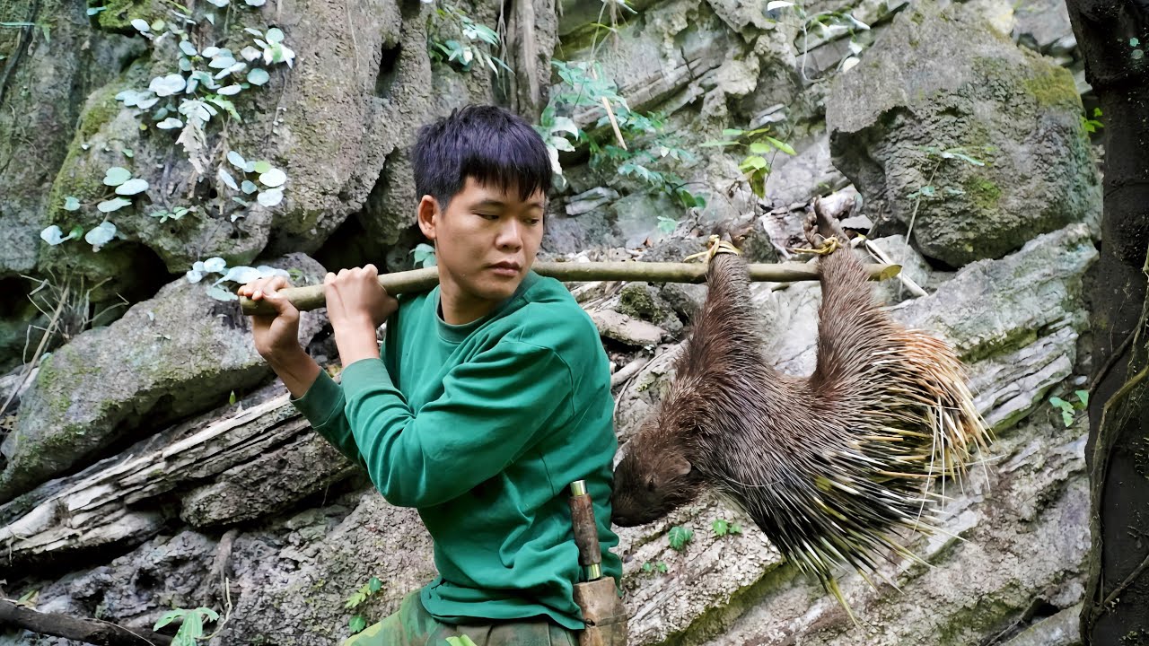 Follow the trail of wild animals, explore the underground shelter of wild animals, survive skills