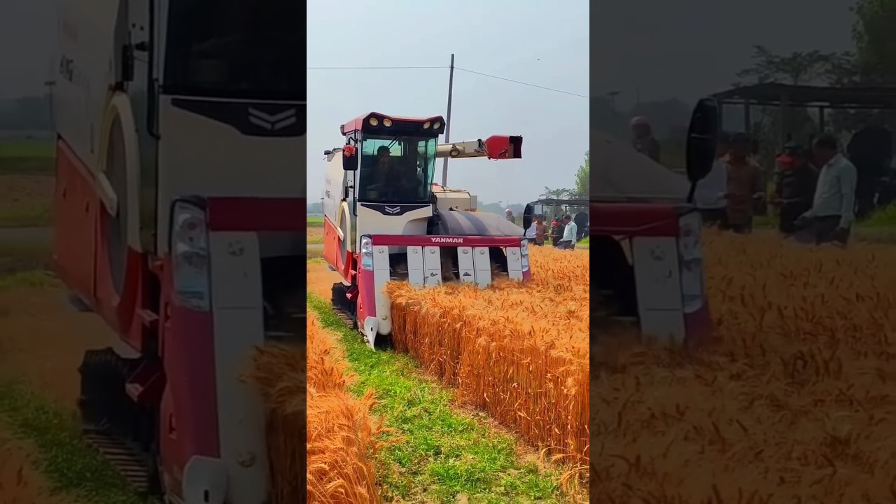 Mini harvester in India 