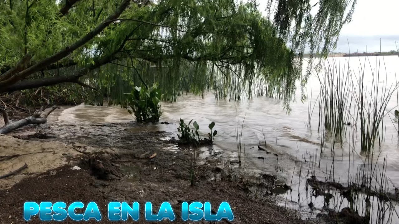 INVASION DE BOGAS EN EL PASAJE ...