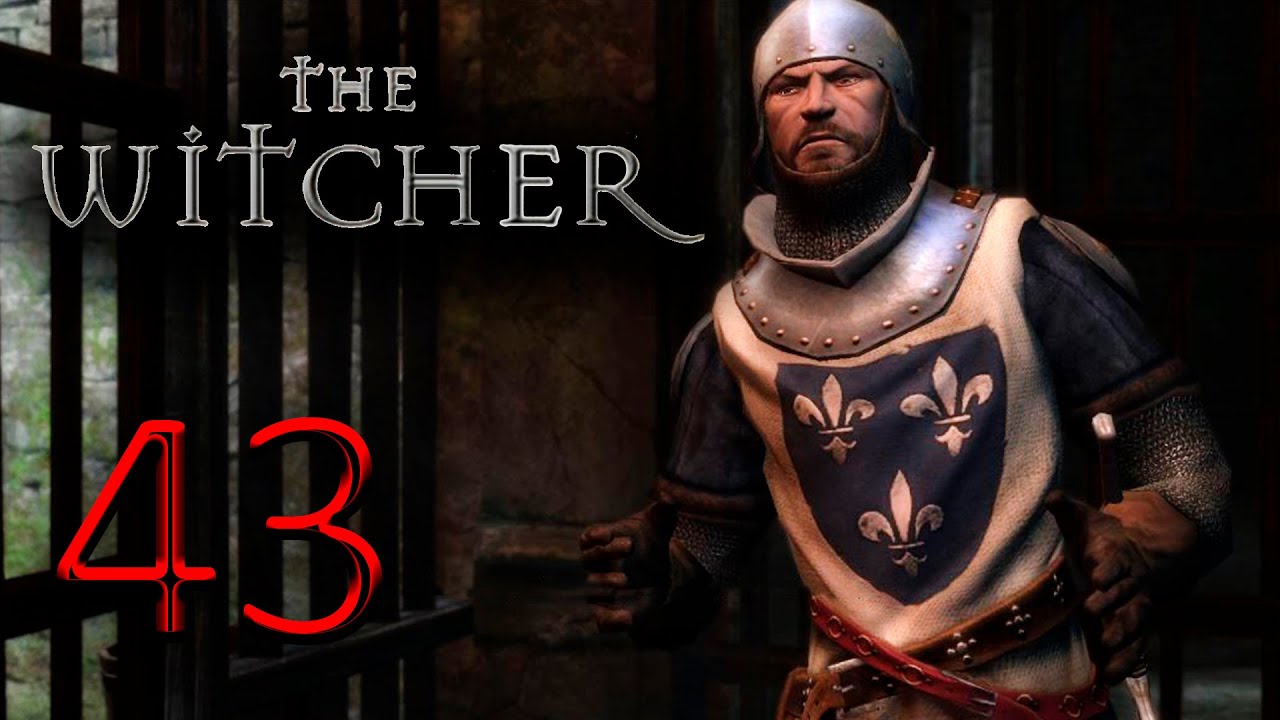 ПОСТАВКИ ФИСШТЕХА | Ведьмак 1 | The Witcher 1 #43