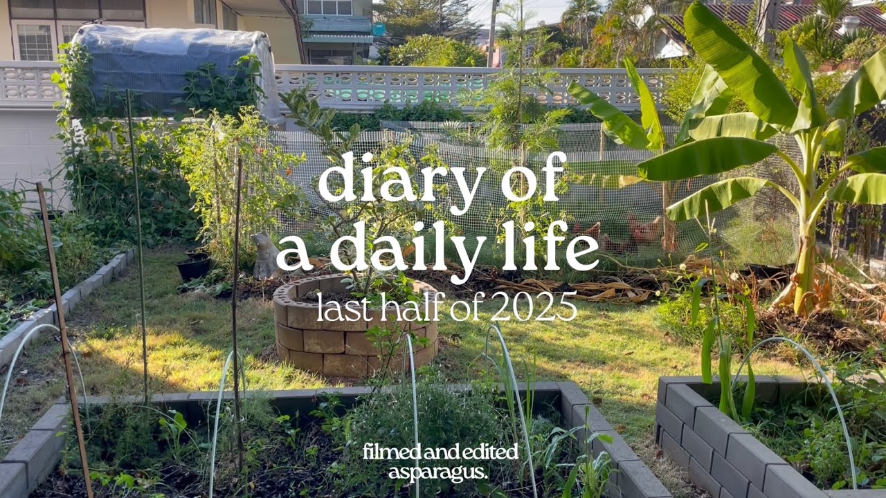 vlog | from jul to dec 2025 🪴 my home garden, chickens, cat & crafts