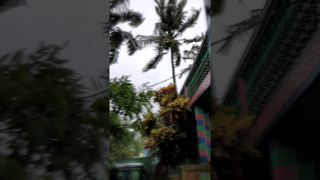 Cyclone remal affect #heavyrain #rain #rainyday #rainsounds #nature #sound #viral #remal #video