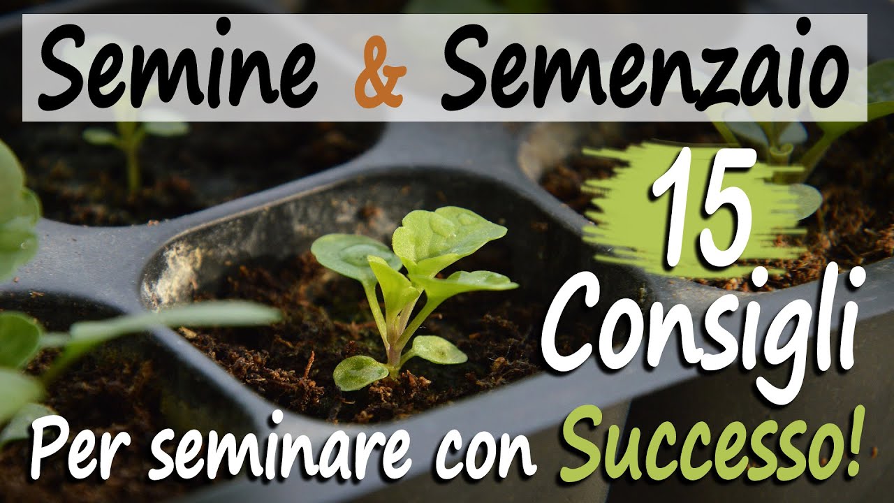 SEMINE e SEMENZAIO |15 TRUCCHI, CONSIGLI, SEGRETI contadini per seminare con SUCCESSO
