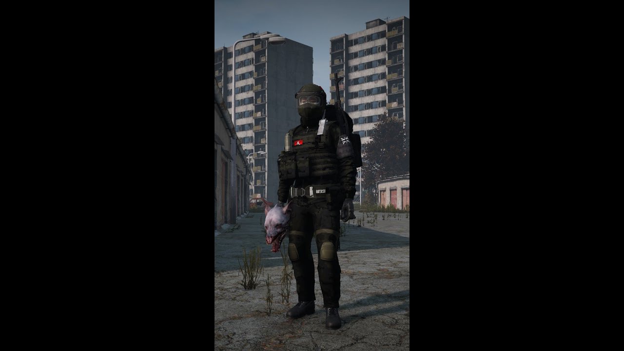 DayZ in game Test Recording