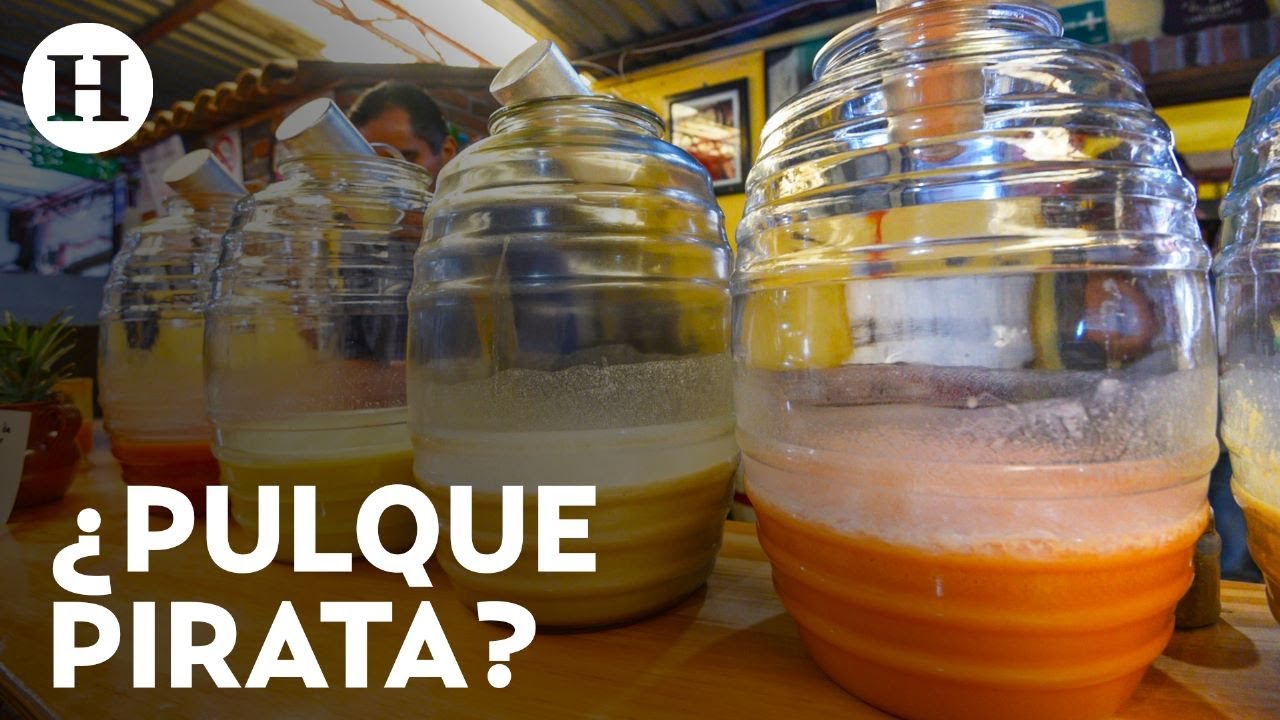 ¿Pulque falsificado? Así puedes identificar si un pulque es pirata; estas son sus características