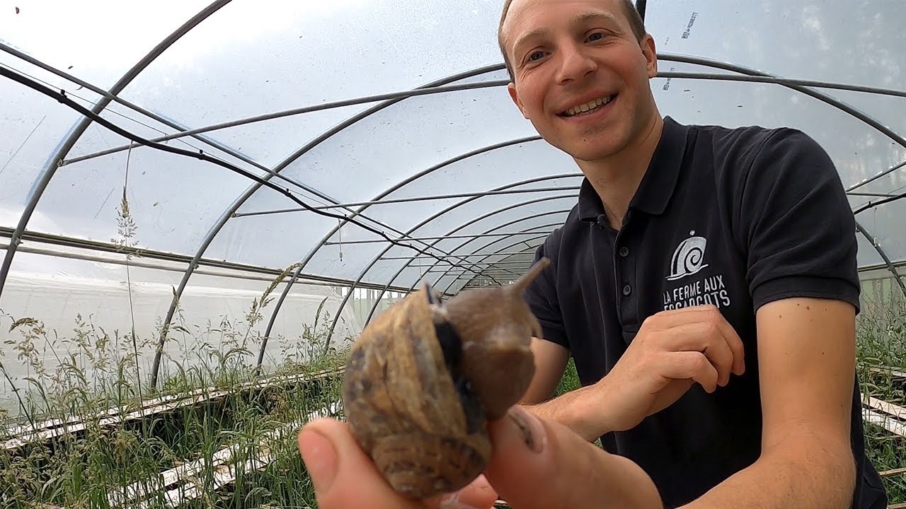 Escargots 🐌 Eating French Food at a Snail Farm