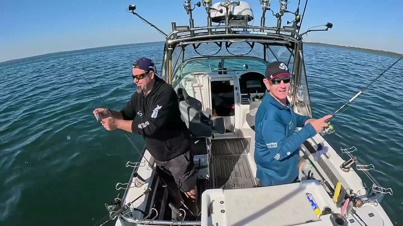 Squid session - Western Port