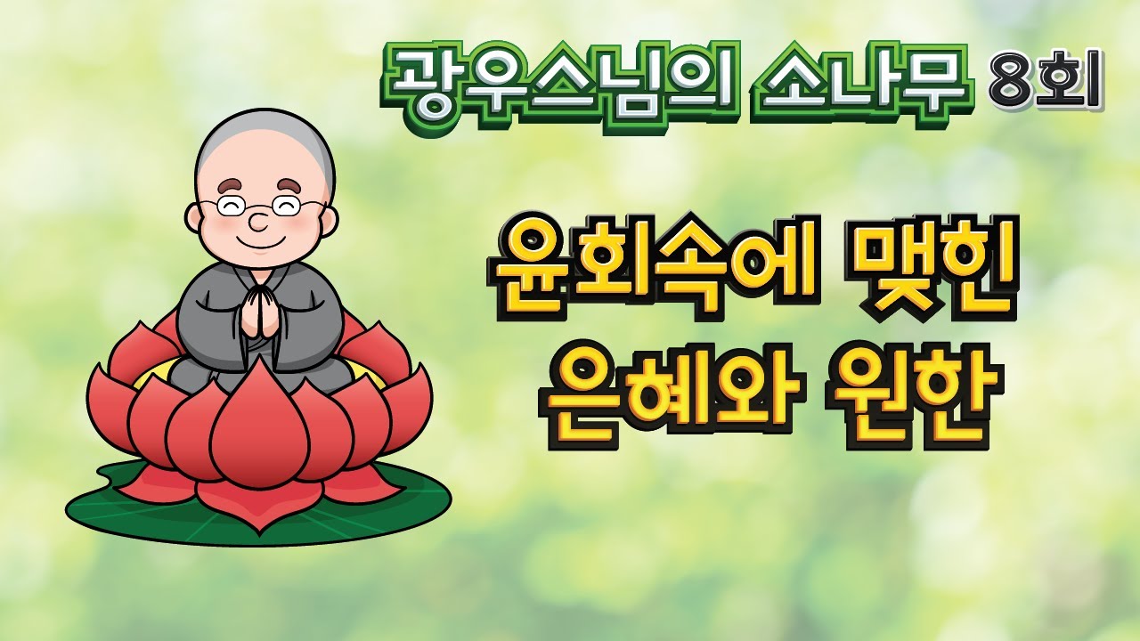 윤회속에 맺힌 은혜와 원한 | 광우스님의 소나무 8회
