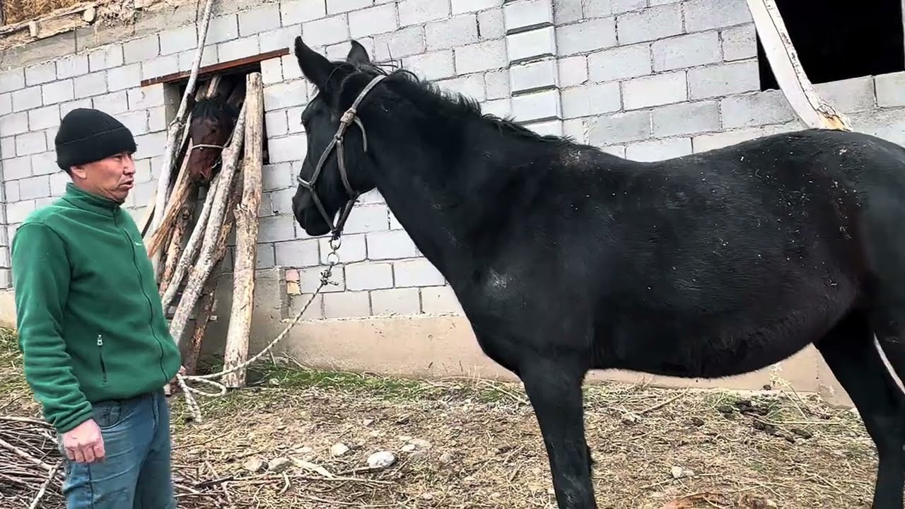 Польша бээ. +996-771-34-34-82.    11 февраля 2026 г.
