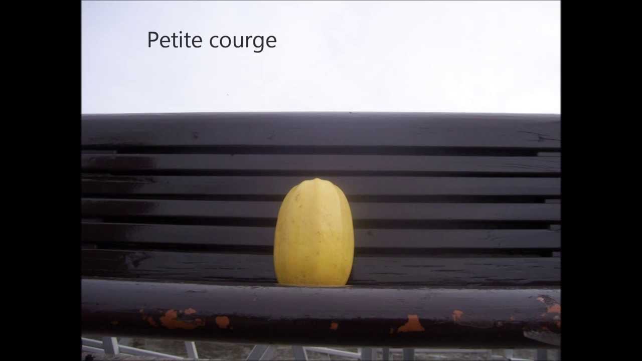 La revanche du cucurbitac&eacute;e