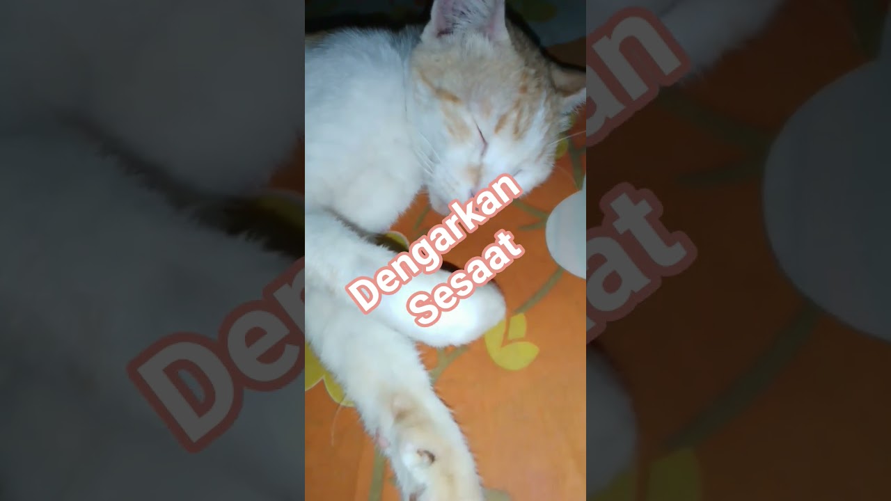 #tausyah#