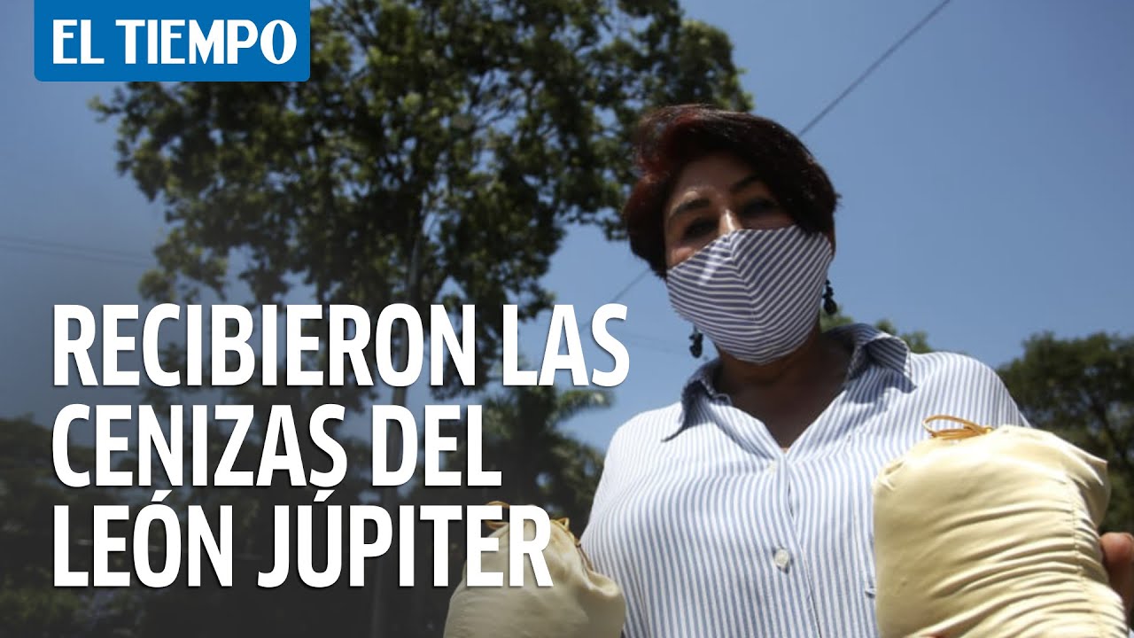 Con tristeza recibieron las cenizas del león Júpiter