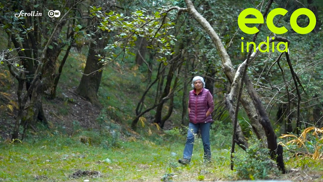 Eco India: An eco-tourism model that focuses on forest conservation and building the local economy