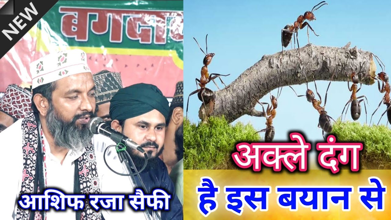 अक्ले दंग हैं इस बयान को सुनकर √Asif Raza Saifi Ki Nizamat बेहतरीन खिताब आशिफ रजा सैफी