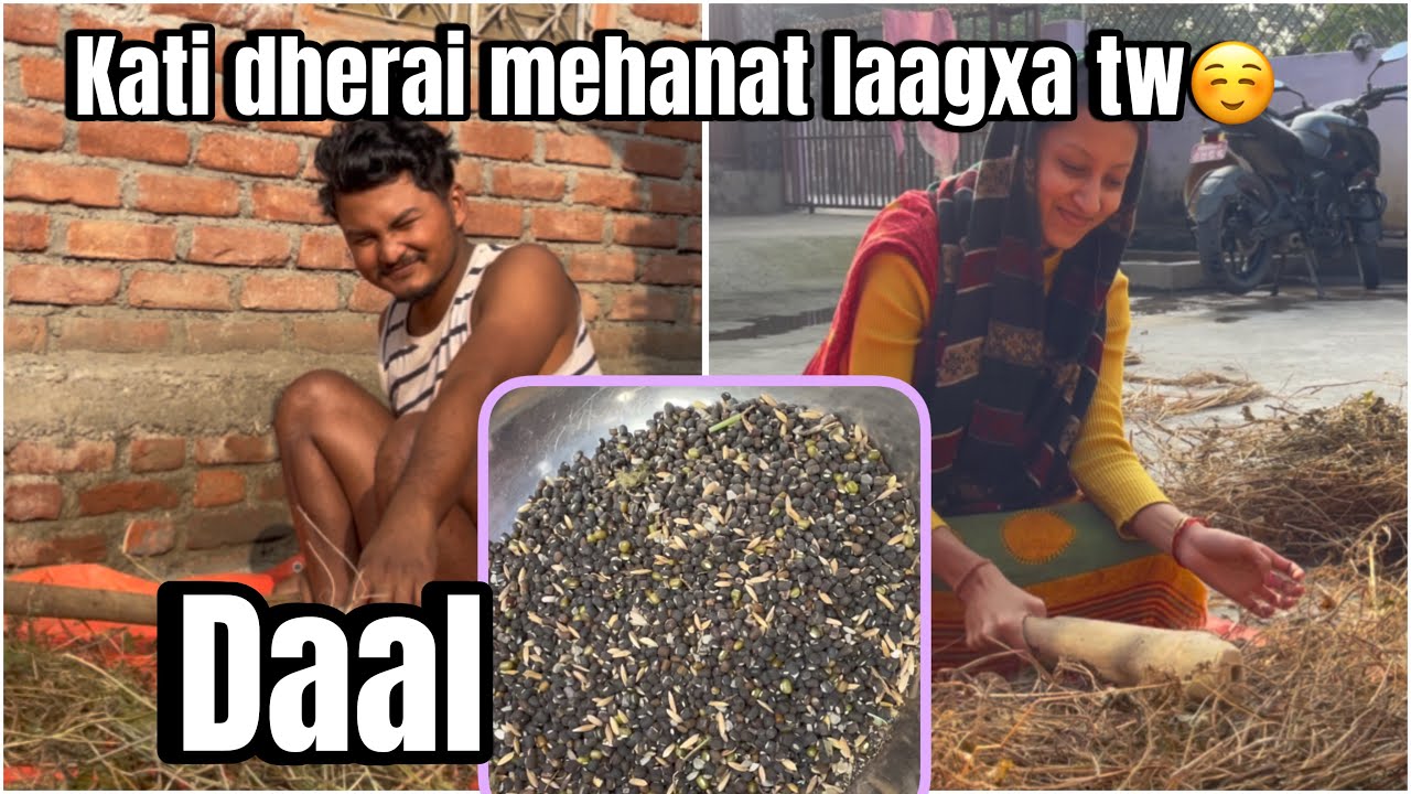 Kaalo daal_#kritysushantvlogs