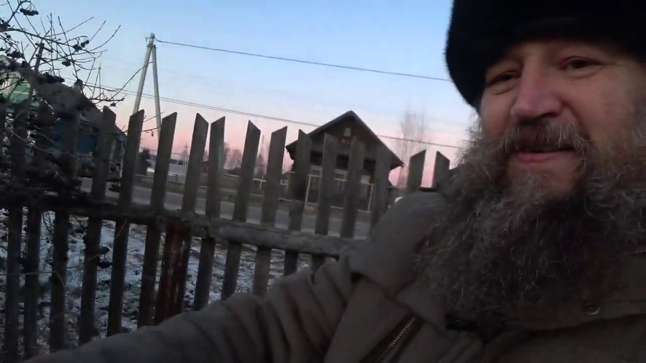 Черноплодная рябина