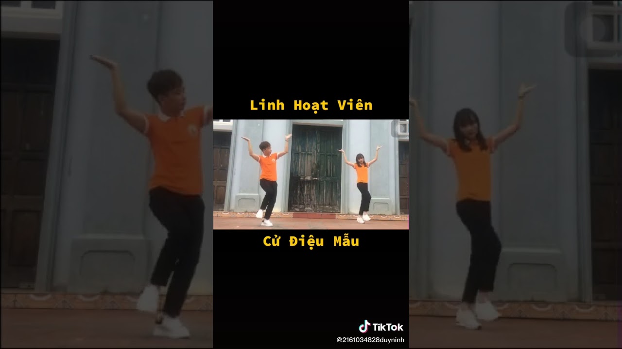 Cu dieu mau 