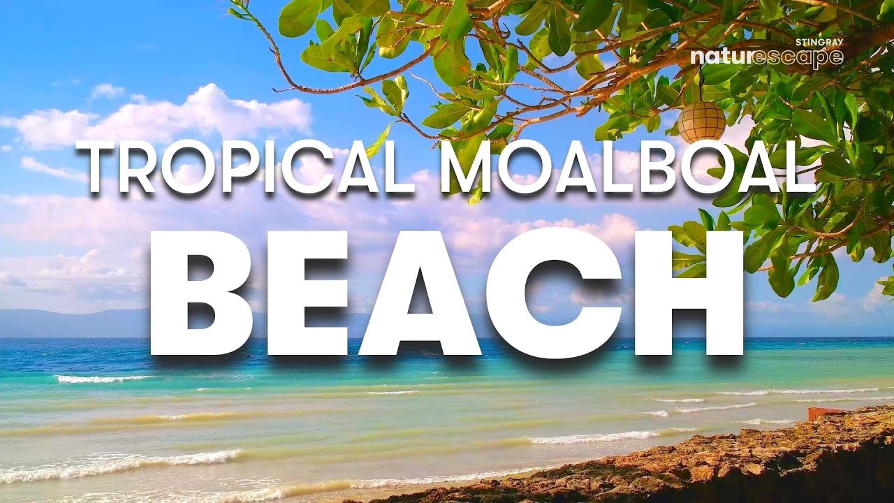 TROPICAL MOALBOAL WHITE BEACH | 1 HOUR OF RELAXING BEACH SOUNDS AMBIENT BACKGROUND NOISE