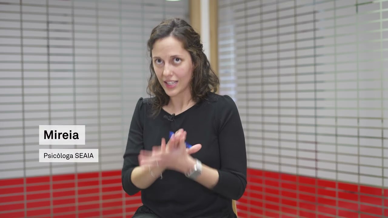 Els SEAIA de la ciutat de Barcelona. Serveis Especialitzats d'Atenció a la Infància i l'Adolescència